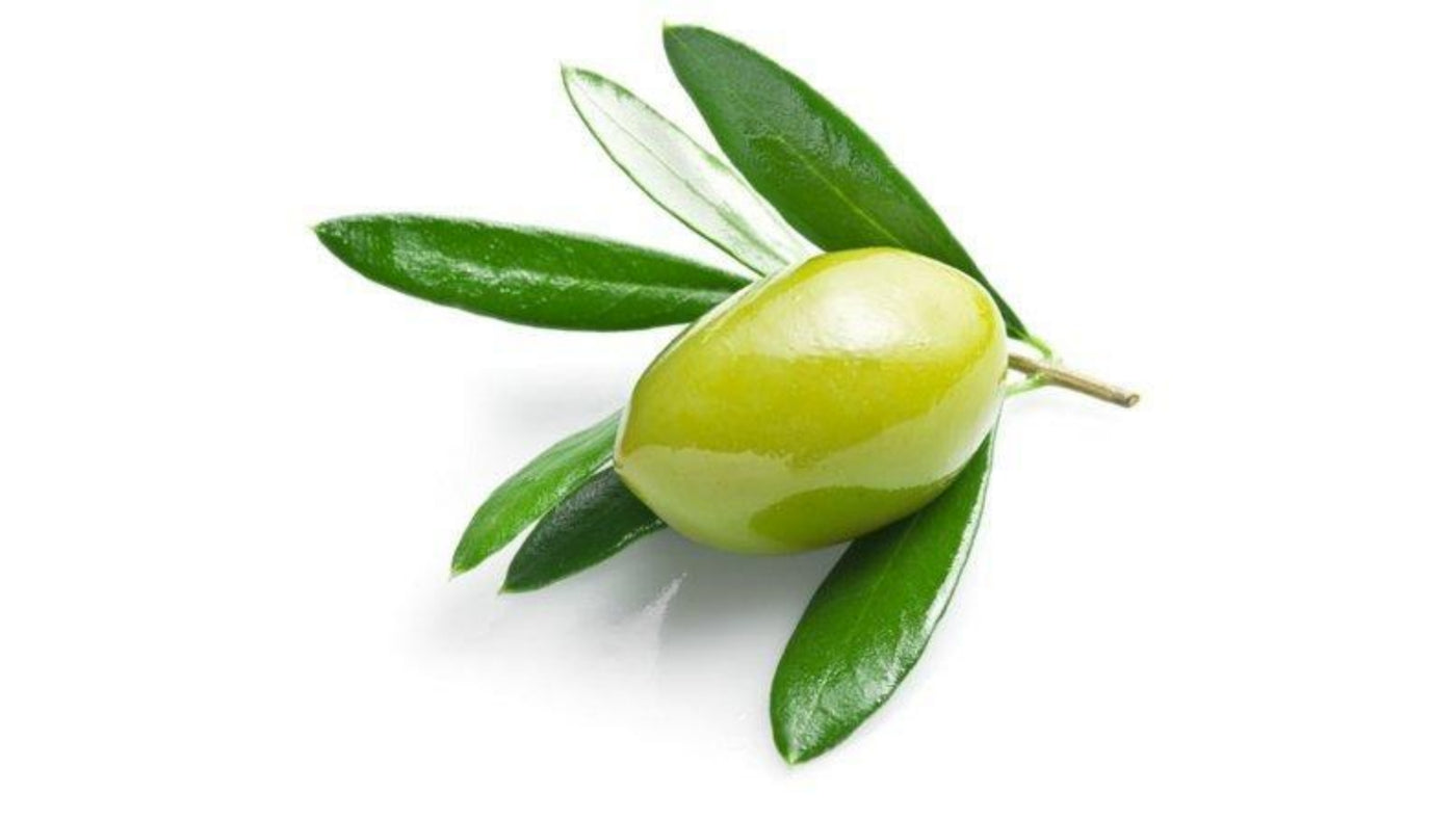 Biancolilla olive