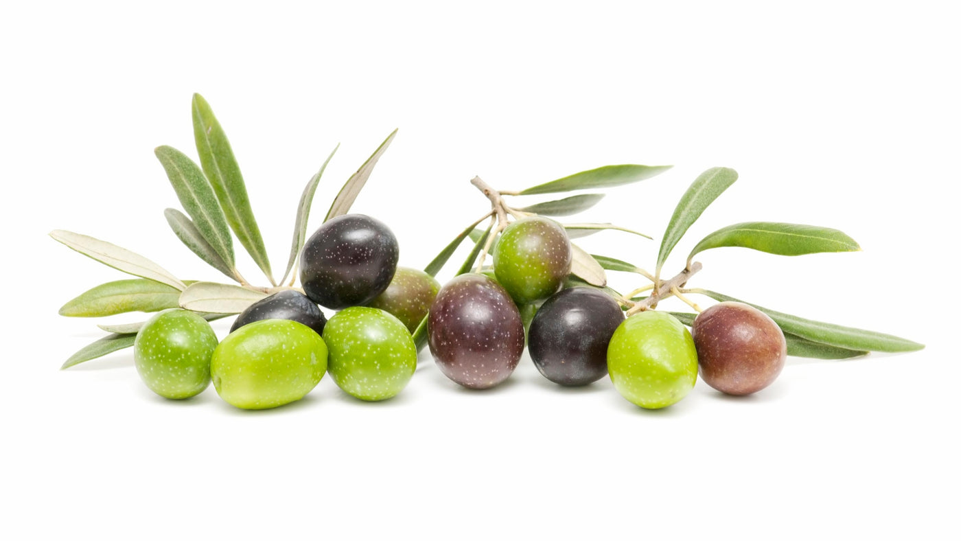 Tonda Iblea olive